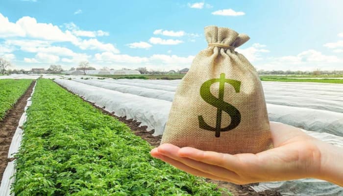 Кредит під заставу земелі - умови, документи та оформлення
